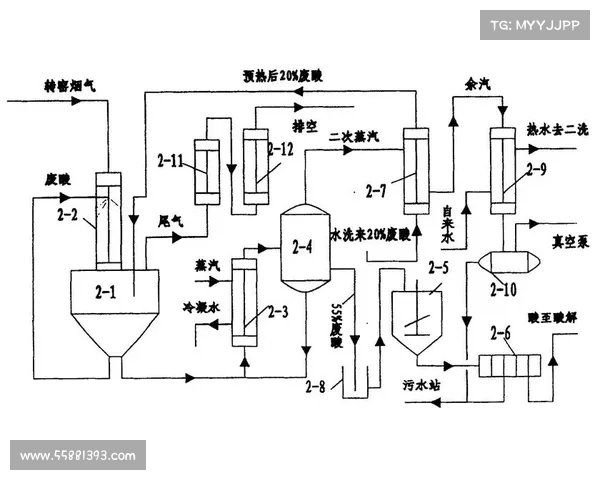 工业化石中盐提取工艺的步骤解析与技术应用研究 工业化石中盐提取工艺的步骤解析与技术应用研究
