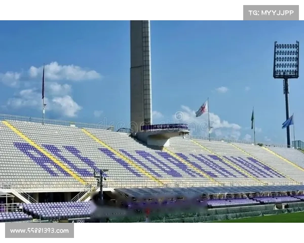 意甲球场建设面临的五大挑战及其应对策略分析